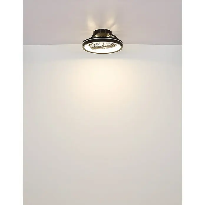 Globo Deckenventilator Deanne - 40 W, Durchmesser: 480 mm - Eine moderne Deckenleuchte mit integriertem Ventilator, die ein stilvolles Ambiente schafft und für angenehme Luftzirkulation sorgt.