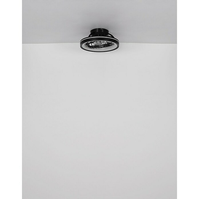 Globo Ventilador de techo Deanne (40 W, Diámetro: 480 mm, Negro mate) | BAUHAUS