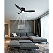 Globo Stropni ventilator Armando  (Crna, Promjer: 1.315 mm, 20 W) | BAUHAUS