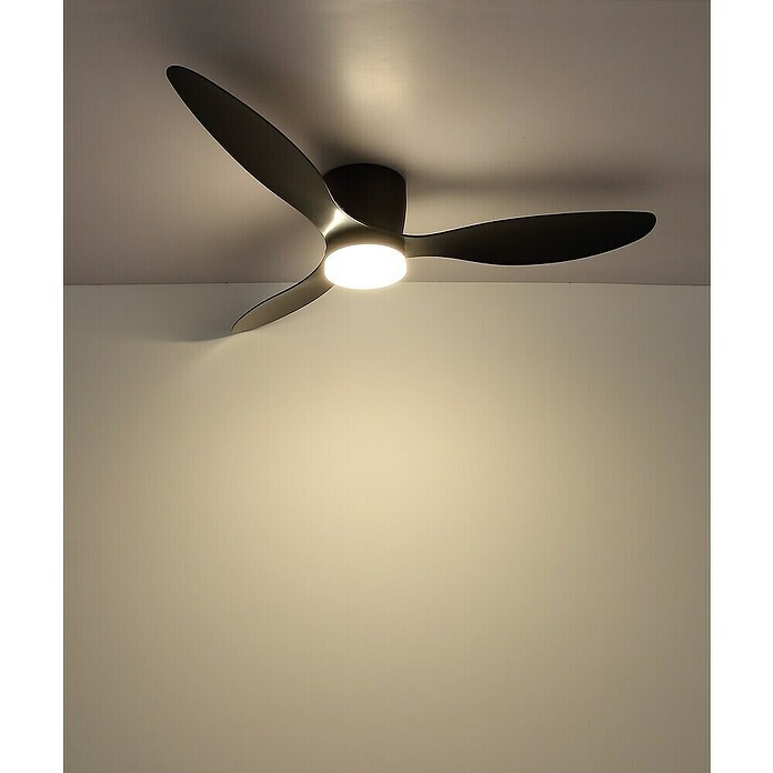 Globo Stropni ventilator Armando  (Crna, Promjer: 1.315 mm, 20 W) | BAUHAUS
