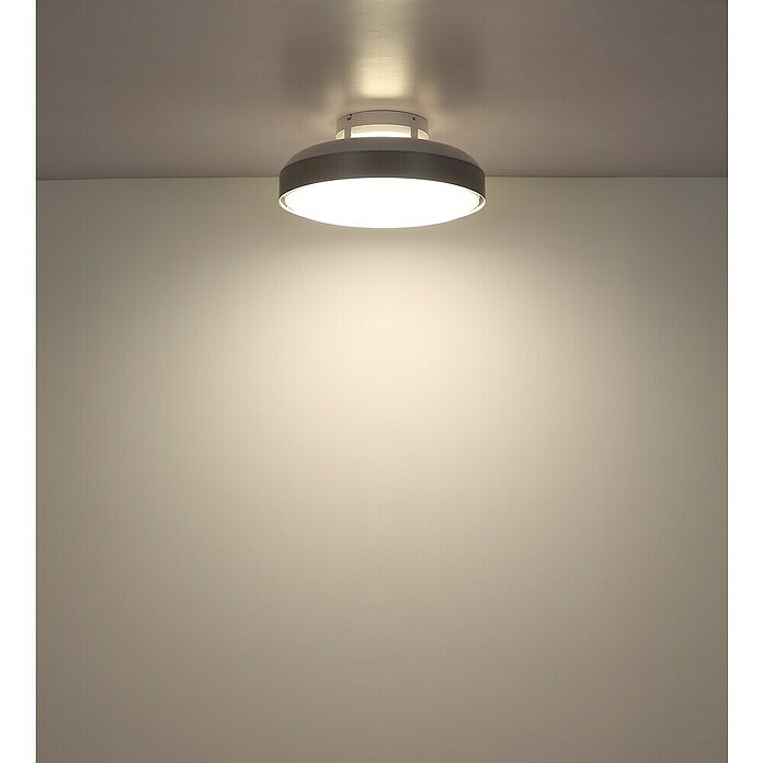 Globo Stropni ventilator Carney  (Bijela, Promjer: 450 mm, 40 W) | BAUHAUS