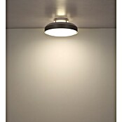 Globo Stropni ventilator Carney  (Bijela, Promjer: 450 mm, 40 W) | BAUHAUS