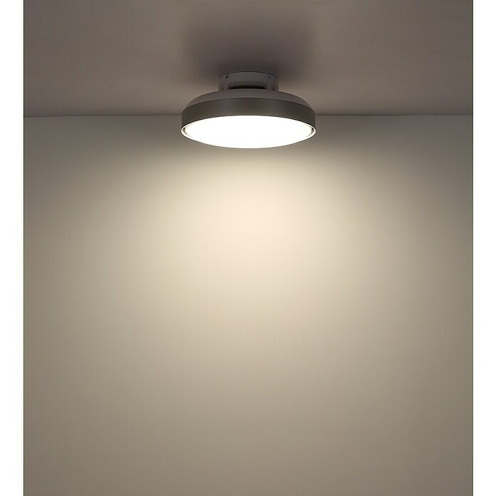 Globo Stropni ventilator Carney  (Bijela, Promjer: 450 mm, 40 W) | BAUHAUS