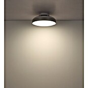 Globo Stropni ventilator Carney  (Bijela, Promjer: 450 mm, 40 W) | BAUHAUS
