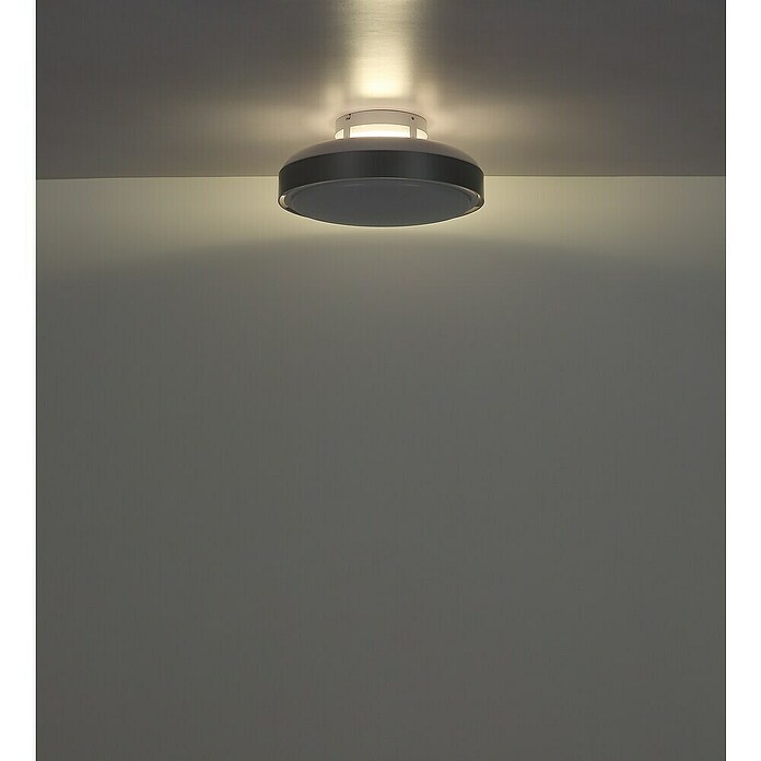 Globo Stropni ventilator Carney  (Bijela, Promjer: 450 mm, 40 W) | BAUHAUS