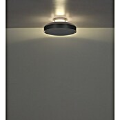 Globo Stropni ventilator Carney  (Bijela, Promjer: 450 mm, 40 W) | BAUHAUS