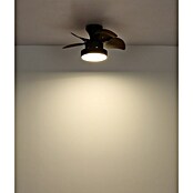 Globo Stropni ventilator Kari  (Crno - smeđa, 580 mm, 22 W) | BAUHAUS