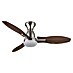 Globo Stropni ventilator Gale 