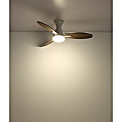 Globo Stropni ventilator Gale  (Bijela, Promjer: 1.070 mm, 22 W) | BAUHAUS