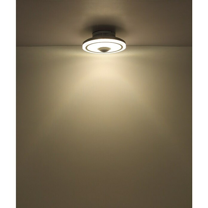 Globo Stropni ventilator Shelly  (Bijela, Promjer: 510 mm, 35 W) | BAUHAUS