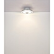 Globo Stropni ventilator Shelly  (Bijela, Promjer: 510 mm, 35 W) | BAUHAUS