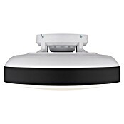 Globo Stropni ventilator Carney  (Bijelo - crna, Promjer: 450 mm, 40 W) | BAUHAUS