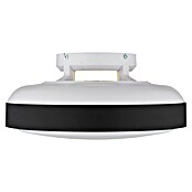 Globo Stropni ventilator Carney  (Bijelo - crna, Promjer: 450 mm, 40 W) | BAUHAUS