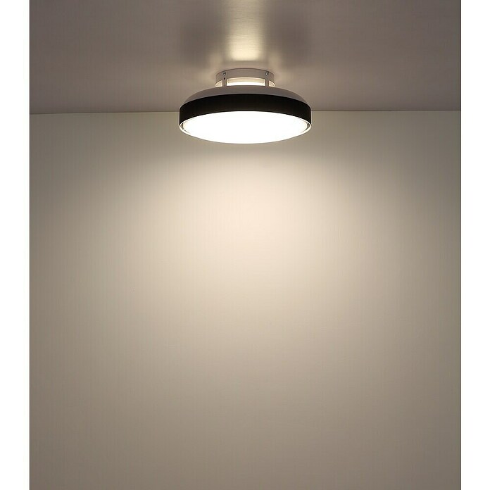 Globo Stropni ventilator Carney  (Bijelo - crna, Promjer: 450 mm, 40 W) | BAUHAUS