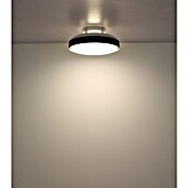 Globo Stropni ventilator Carney  (Bijelo - crna, Promjer: 450 mm, 40 W) | BAUHAUS