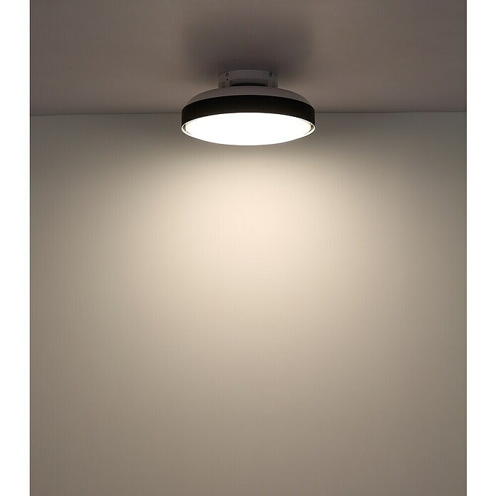 Globo Stropni ventilator Carney  (Bijelo - crna, Promjer: 450 mm, 40 W) | BAUHAUS