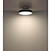 Globo Stropni ventilator Carney  (Bijelo - crna, Promjer: 450 mm, 40 W) | BAUHAUS