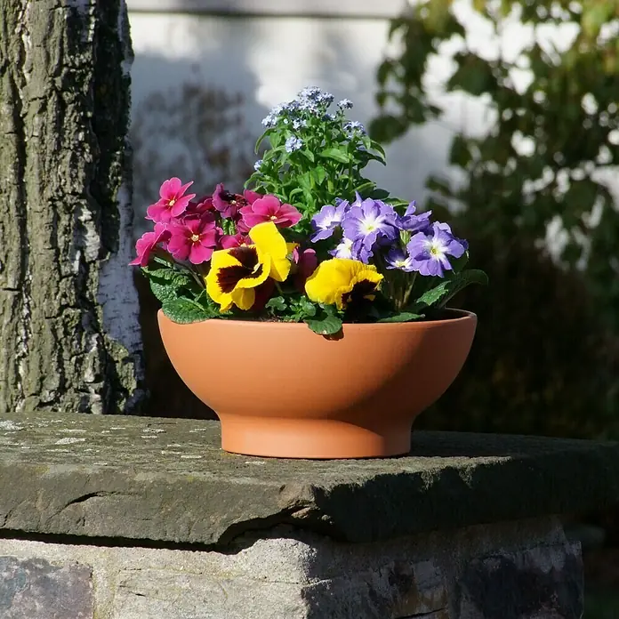 Pflanzschale rund Wave - Außenmaß (Ø x H): 22 x 9,5 cm, Naturmaterialien, Terracottarot - Die Aufnahme zeigt eine wunderschöne Schale mit bunten Frühlingsblumen, darunter Primeln und Vergissmeinnicht, auf einer steinernen Oberfläche.