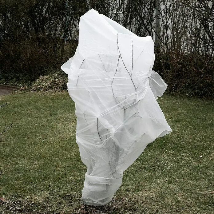 Floraworld Classic Winterschutzvlies - Weiß, 5 x 0,7 m - Ein Baum im Garten ist mit einer weißen Plane abgedeckt, um ihn vor Frost und Kälte zu schützen. Schutz für junge Pflanzen.
