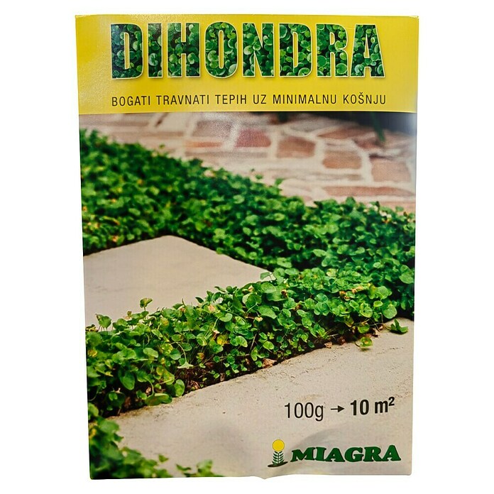 Sjeme za travu Dihondra  (100 g, 10 m²) | BAUHAUS