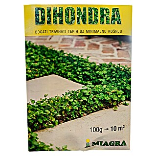 Sjeme za travu Dihondra (100 g, 10 m²)