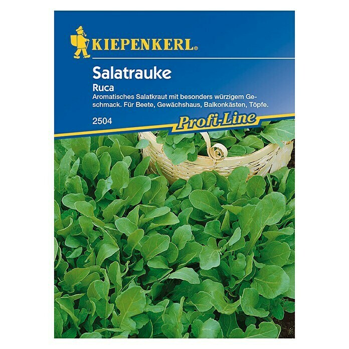 Kiepenkerl Profi-Line Rucola Ruca  (Eruca sativa, Inhalt ausreichend für: Ca. 400 Pflanzen)