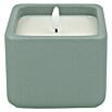Hofer LED-Kerze Elara (L x H: 10 x 7,6 cm, Salbei) | BAUHAUS