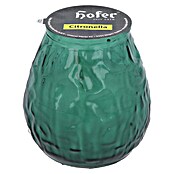 Hofer Duftkerze Bistrolicht Citronella (Ø x H: 9,5 cm x 10 mm, Salbei) | BAUHAUS