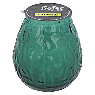 Hofer Duftkerze Bistrolicht Citronella (Ø x H: 9,5 cm x 10 mm, Salbei)