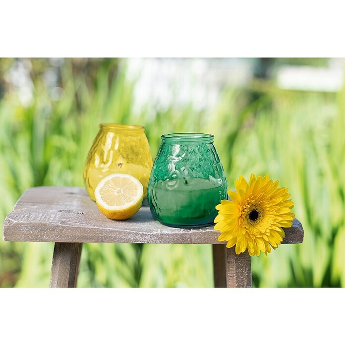 BISTROLICHT CITRONELLA MAISGELB