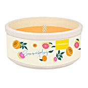 Hofer Citronella-Kerze Summerfeeling (Durchmesser: 13 cm, Orange) | BAUHAUS