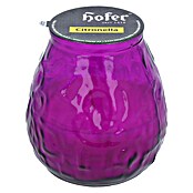 Hofer Duftkerze Bistrolicht Citronella (Ø x H: 9,5 x 10 cm, Fuchsia) | BAUHAUS
