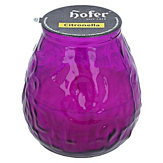Hofer Duftkerze Bistrolicht Citronella (Ø x H: 9,5 x 10 cm, Fuchsia)