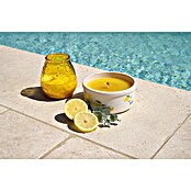Hofer Citronella-Kerze Summerfeeling (Durchmesser: 13 cm, Gelb) | BAUHAUS
