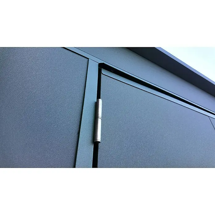 Weka Metallgerätehaus Gary 6 - Außenmaß inkl. Dachüberstand (B x T): 242,4 x 248,2 cm, Aluminium - Nahaufnahme einer grauen Tür mit einem silbernen Scharnier, das die Tür mit dem Rahmen verbindet, und Oberlichtern.