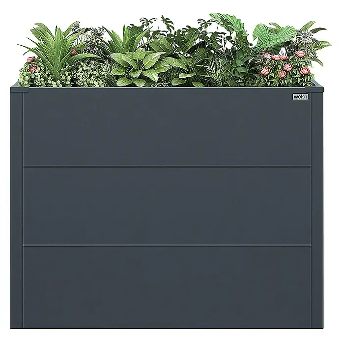 Weka Hochbeet Gary - 100 x 50 x 77 cm, Metall, Anthrazit - Ein grauer, rechteckiger Blumenkasten von Weka, bepflanzt mit einer vielfältigen Auswahl an Grünpflanzen und einigen rosa Blüten.