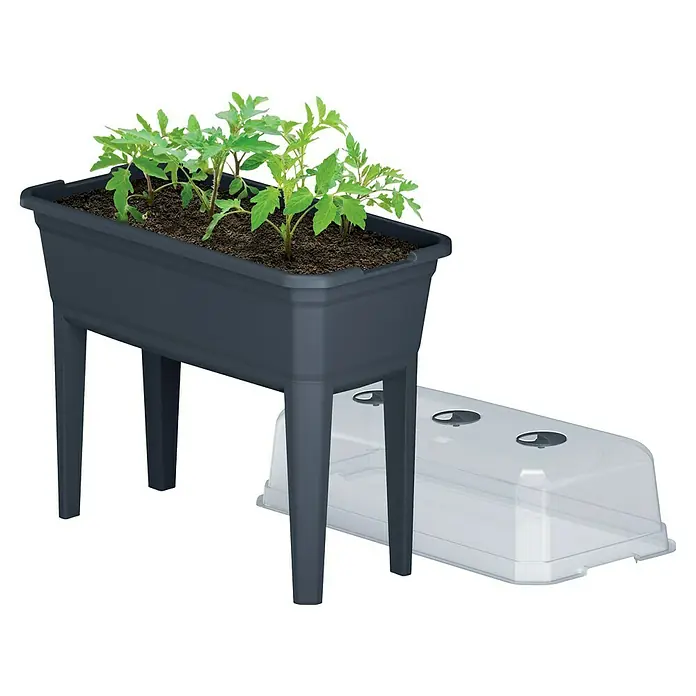 Hochbeet Respana Eco - Anthrazit, Kunststoff, 36,8 x 74,6 x 77,7 cm - Das erhöhte Pflanzbeet mit jungen Pflanzen bietet eine komfortable Gartenlösung. Inklusive transparentem Deckel für optimale Wachstumsbedingungen.