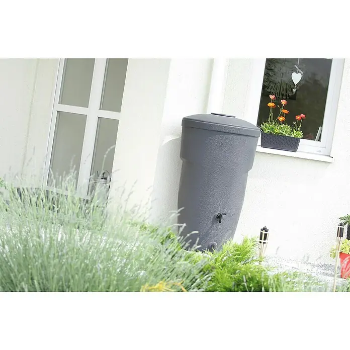 Regentonne Wallycan - 270 l, Anthrazit, 1 Stk. - Nahaufnahme einer grauen Regentonne mit Abdeckung in einem Garten, mit Pflanzen im Vordergrund.