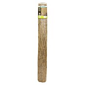 Nature Rietmat gepeld (l x h: 3 x 2 m, Naturel) | BAUHAUS