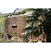 Nature Wilgenmat fijn (3 x 2 m, Wilg, Bruin) | BAUHAUS