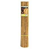 Nature Bamboemat gespleten (3 x 1 m, Naturel) | BAUHAUS