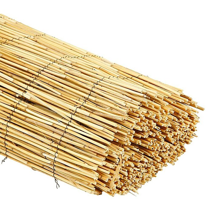 Nature Rietmat gepeld (l x h: 3 x 2 m, Naturel) | BAUHAUS