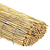 Nature Rietmat gepeld (l x h: 3 x 2 m, Naturel) | BAUHAUS