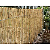 Nature Rietmat gepeld (l x h: 3 x 2 m, Naturel) | BAUHAUS