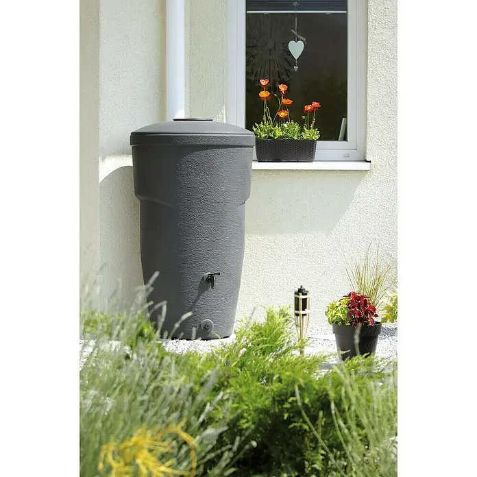 Regentonne Wallycan - 270 l, Anthrazit, 1 Stk. - Eine graue Regentonne mit einem Wasserhahn steht neben einem Haus mit einem Fenster, das mit Blumen geschmückt ist.