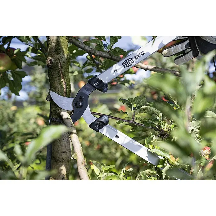 Felco Astschere 221-90 - Max. Aststärke: 40 mm, Länge: 90 cm - Astschere der Marke FELCO im Einsatz beim Beschneiden eines Apfelbaums. Die Schere schneidet mühelos durch Äste und sorgt für einen sauberen Schnitt.