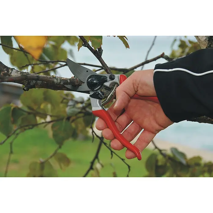 Felco Gartenschere 8 - Max. Aststärke: 25 mm - Gartenschere im Einsatz: Ein Ast wird mit einer roten Gartenschere durchtrennt, ideal für Baumschnitt und Gartenpflege.