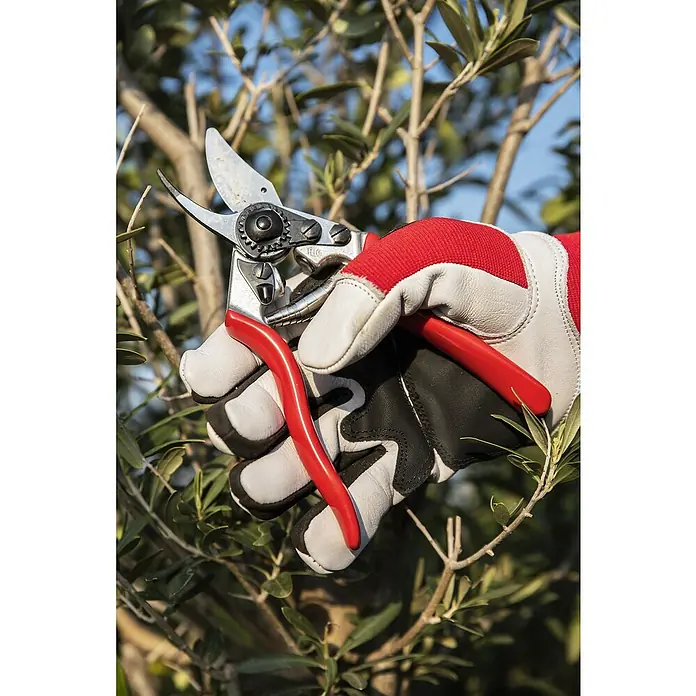Felco Gartenschere 14 - Bypass, Max. Aststärke: 18 mm - Eine Hand in Gartenhandschuhen hält eine Felco-Gartenschere vor einem Olivenbaum, bereit zum Beschneiden von Ästen und zur Gartenarbeit.