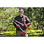 Felco Cortarramas para jardín 221-90 (Grosor de rama máx.: 40 mm, Largo: 90 cm) | BAUHAUS