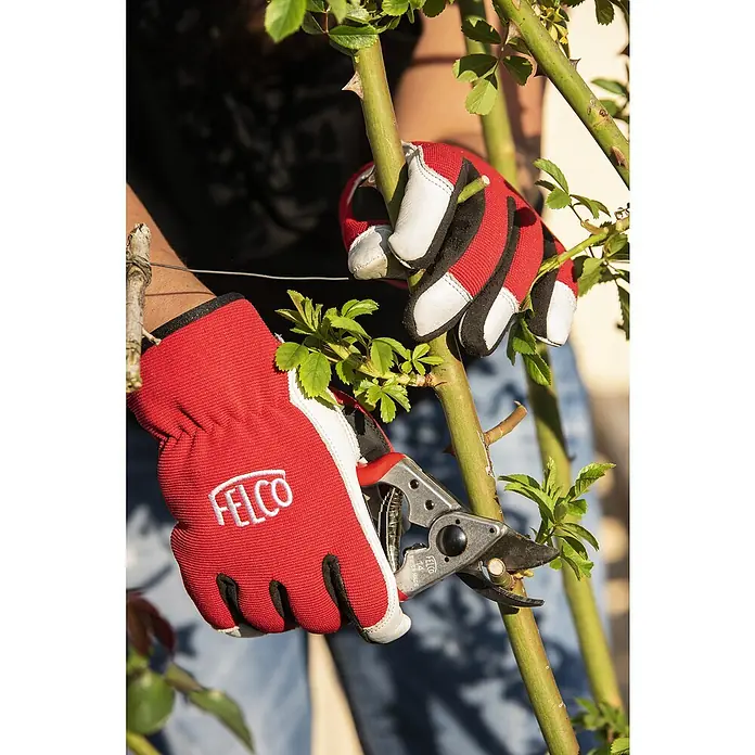 Felco Gartenschere 14 - Bypass, Max. Aststärke: 18 mm - Nahaufnahme von Felco-Gartenhandschuhen und einer Gartenschere beim Beschneiden eines Rosenstrauchs. Die roten Handschuhe schützen die Hände bei der Gartenarbeit.